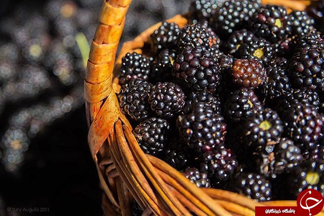 ثبت لحظه های ناب در اینستاگرام نشنال جئوگرافی