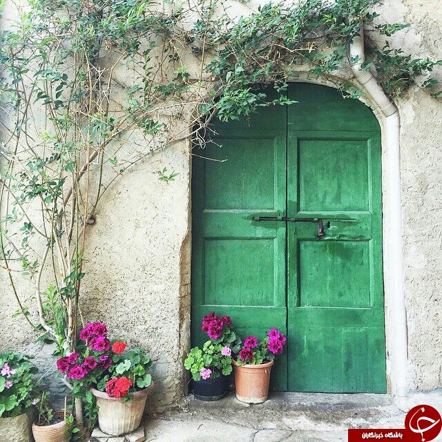 عکس هایی که بوی زندگی می دهد