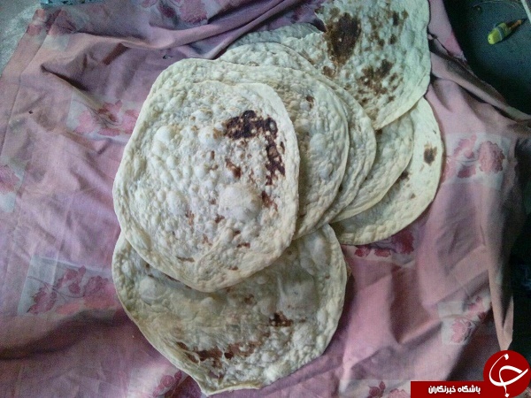 عکس هایی که بوی زندگی می دهد