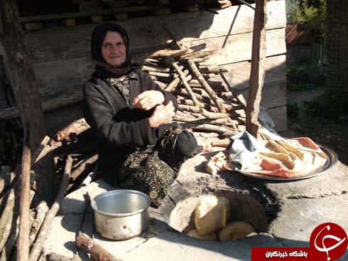 عکس هایی که بوی زندگی می دهد