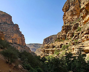 وجود بیش از یک چهارم تنوع زیستی کشور در استان لرستان