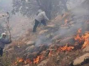 10هکتار از جنگلهای پلدختر، طعمه حریق شد