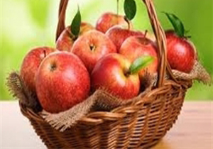 تخصیص اعتبار برای تولید محصولات ارگانیک در کهگیلویه و بویراحمد