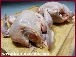 تولید بیش از 31 هزار تن گوشت مرغ داری های بوشهر