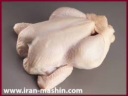 تولید بیش از 31 هزار تن گوشت مرغ داری های بوشهر