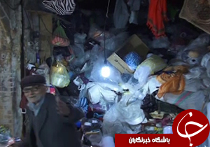 از استقبال کشاورزان تا افزایش 15درصدی برداشت توت فرنگی + فیلم