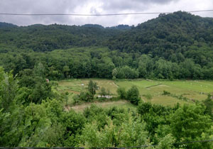 طبیعت زیبا و دل&zwnj;انگیز روستای شهربیجار + تصاویر