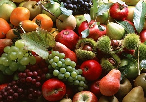 تولید بیش از 17 میلیون تن محصولات باغی