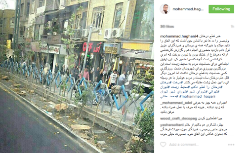 شهرداری: تمام درختان قطع شده خشک بودند/حقانی:نمی توانم در این خصوص نظر بدهم
