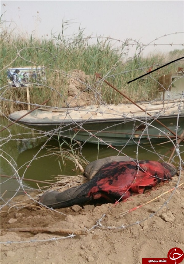 محل شهادت 175 غواص عمليات کربلاي 4 + تصاویر