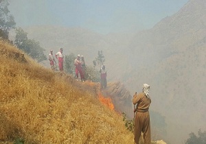 مهار آتش سوزی ارتفاعات شهرستان پاوه