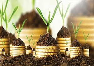 چتر حمایتی دولت لازمه اجرای بانکداری اسلامی