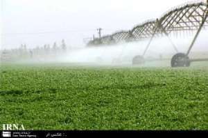 بیش از هزار هکتار از باغات چابهار به سیستم آبیاری نوین مجهز می شوند