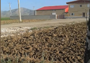 کشتارگاهی که زمین کشاورزی می‌کشد! + فیلم