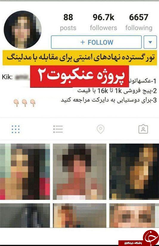 سایتها و صفحات اینستاگرامی مدلینگ به قوه قضائیه معرفی می&zwnj;شوند