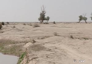 پدیده ای که به شکل غیر طبیعی در حال گسترش است + فیلم