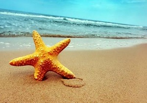 برنزه نكنيد! به اين توصيه ها عمل كنيد