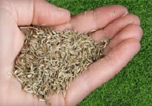 ضرورت گواهی بهداشتی برای واردات محصولات کشاورزی