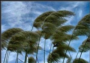 وزش باد شدید در استان زنجان