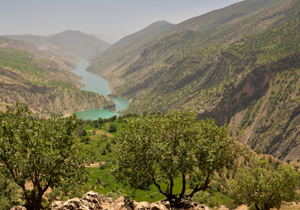 تصویب طرح حفاظت و توسعه پایدار کوهستان زاگرس مرکزی