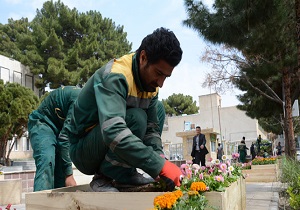 آغاز طرح گلكاری تابستانه