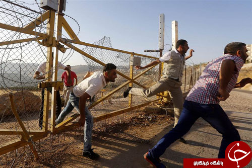 از توقف بانوان فلسطینی بوسیله پلیس زن صهیونیست تا تغییر شکل هواداران تیم فوتبال ایتالیا