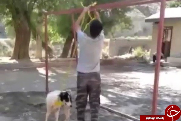 شکنجه تا سر حد مرگ به خاطر خسارت 700 هزار تومانی! +تصاویر