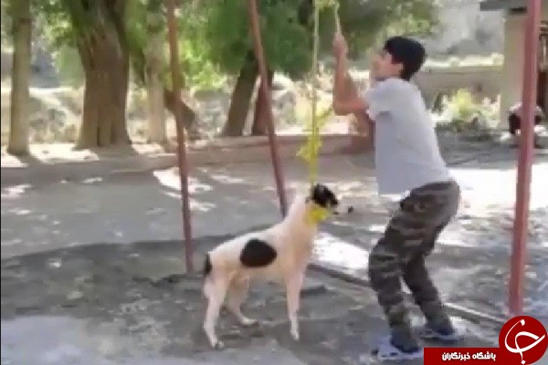 شکنجه تا سر حد مرگ به خاطر خسارت 700 هزار تومانی! +تصاویر