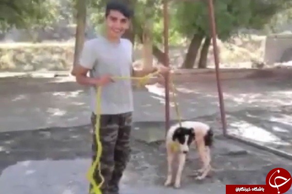 شکنجه تا سر حد مرگ به خاطر خسارت 700 هزار تومانی! +تصاویر