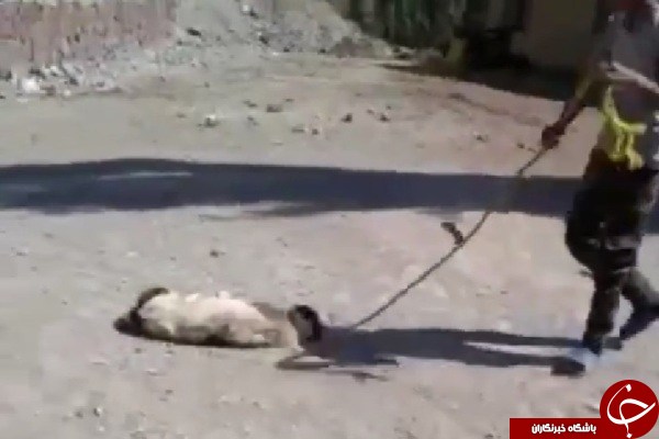 شکنجه تا سر حد مرگ به خاطر خسارت 700 هزار تومانی! +تصاویر