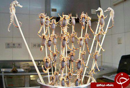 ریزترین حشره دنیا/تصادف عجیب اسب بایک خودرو/لاستیک خودرو 2 میلیارد تومانی /ساخت اجاق گاز بارینگ ماشین/