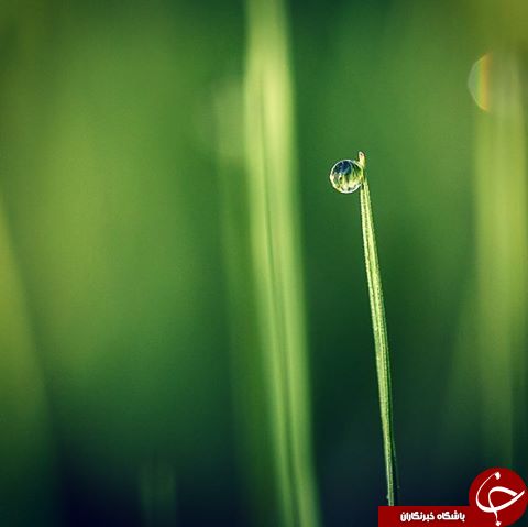 دیدنی های شگفت انگیز دنیا ازلنزدوربین نشنال جئوگرافی+13 عکس