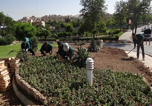 آغازطرح گل‌کاری تابستانه در فضای سبز شهر سنندج