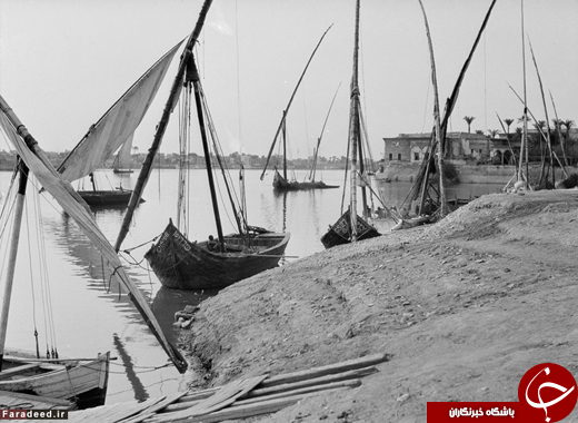 عکس/ قاهره، 115 سال قبل