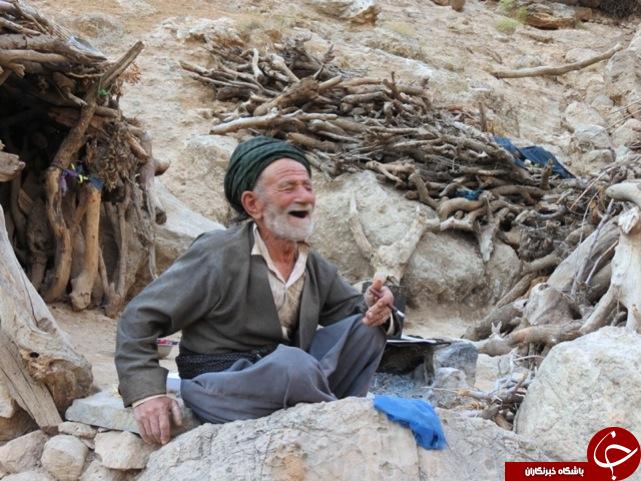 عکس هایی که بوی زندگی می دهد