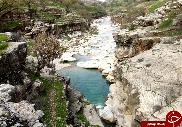 عکس هایی که بوی زندگی می دهد