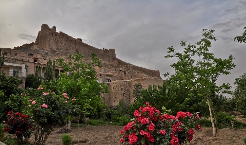 روستای فورگ ، روستای پر رونق گردشگری