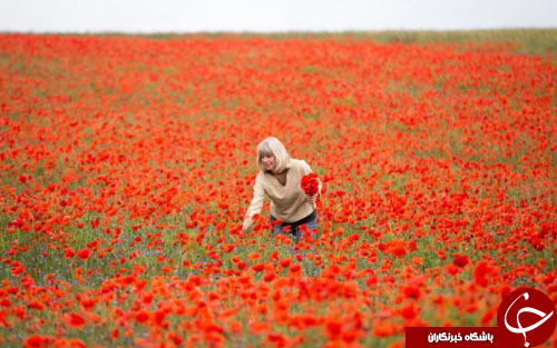 از استخدام خلبانان زن برای هدایت جنگنده&zwnj;های هند تا پایان ماموریت 6 ماهه فضانورد انگلیسی
