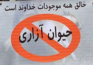 ورود لایحه حمایت از حقوق حیوانات به مجلس دهم