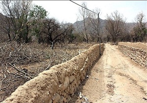 کم‌آبی دلیل کاهش اراضی زیر کشت گرمسار