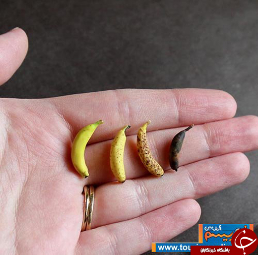 عکس/ خلق آثار مینیاتوری با غذا!