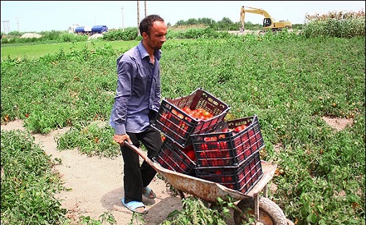 نپرداختن بیمه باغات، سنگی دیگر جلوی پای باغدارن
