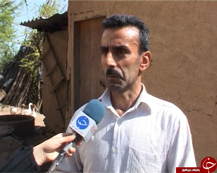 به اغما رفتن صنعت نوغانداری در مازندران