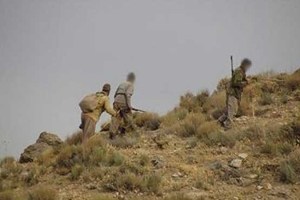 دستگیری 41 شکارچی غیر مجاز در استان