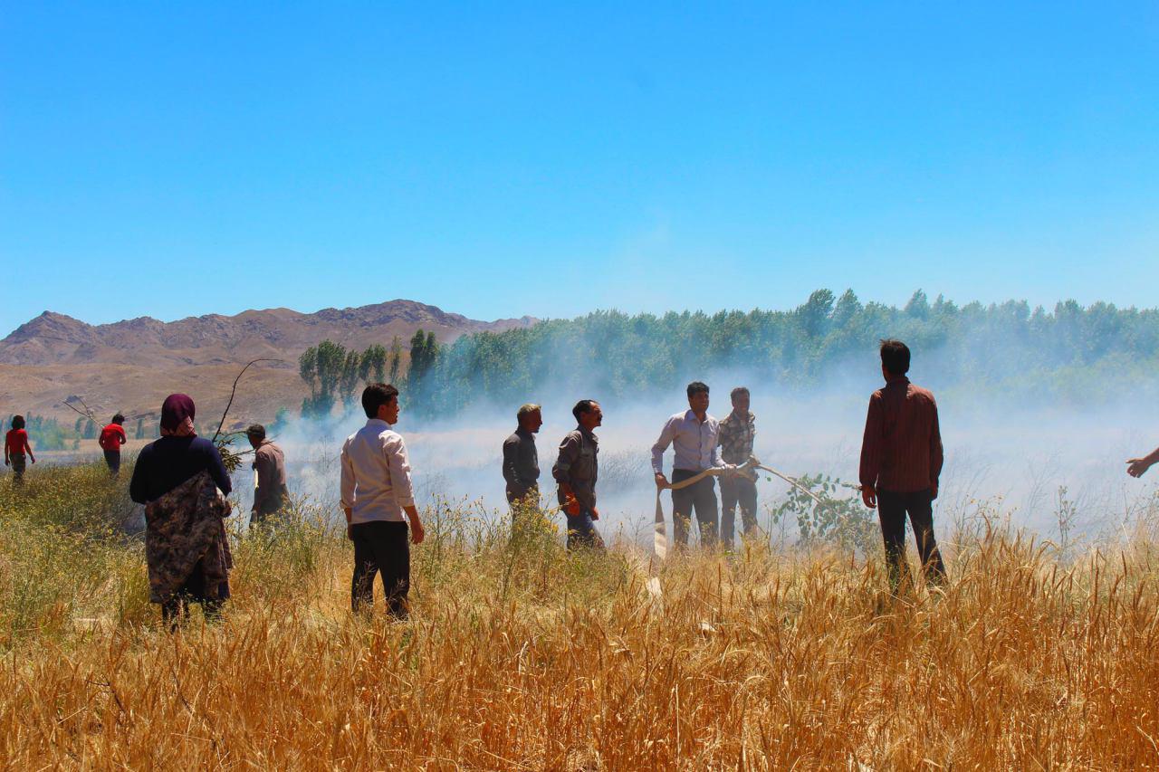 آتش سوزی 2 هکتار از گندمهای کشاورزی شهر ریوش کوهسرخ