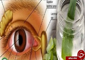 نوشیدنی معجزه آسایی که چشمانتان را مانند عقاب تیز بین می کند