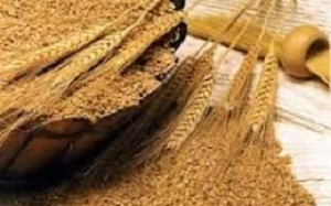 مشکلی برای تخصیص سبوس به دامداران وجود ندارد
