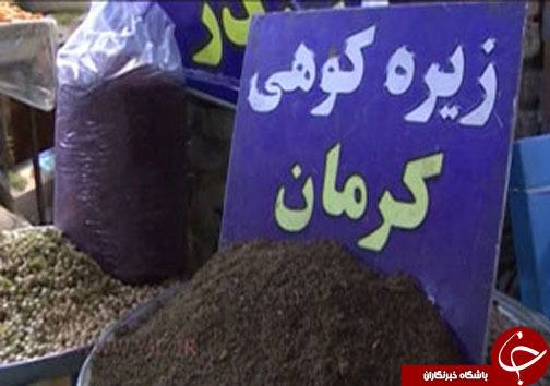 از دیاری با عطر و طعم به یاد ماندنی تا راه حل طبیعی برای بیماران دیابتی + فیلم