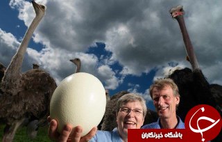 حیواناتی که رکورد خود را در گینس ثبت کردند را اینجا ببینید +تصاویر