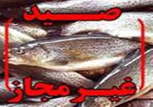دستگیری 15 صیاد متخلف در پلدختر